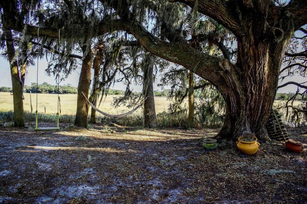 Secluded Tiny House By The Marsh With Hunting Island Beach Pass Frogmore 외부 사진